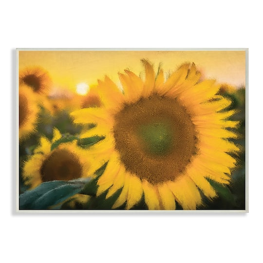 Stupell Industries Realistic Soft Edges Sunflower Field Sunrise Wall Art